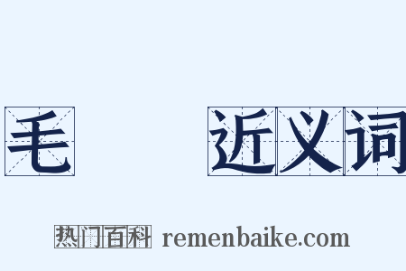 毛詩駁近义词是什么意思的图片